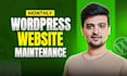 secure your wordpress website with monthly maintenance