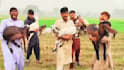 wish happy birthday video africa or happy birthday video