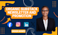 write high converting substack newsletters to grow your audience