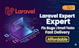 fix your laravel project bugs and issues