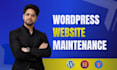 offer complete wordpress care, maintenance and expert help
