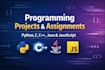 help with python java cpp javascript programming projects and fix bugs