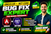 fix angular and dot net core bugs, API errors, and frontend issues fast