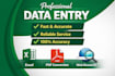 do high quality and accurate data entry works