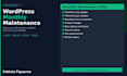 provide monthly wordpress website maintenance and support