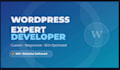 create a professional wordpress website optimized for conversions and SEO