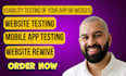 perform API penetration testing and vulnerability assessment for web security
