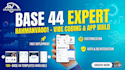 fix base44 bugs, integrate stripe, deploy and debug base44 apps as an expert