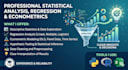 do statistical analysis, regression and econometrics