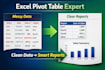do excel pivot tables, data analysis, charts, and report