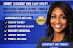 do professional credit sweep, remove late payments, collection, charge offs