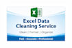 clean, format and organize excel data professionally
