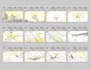create dynamic storyboards for animation and commercials