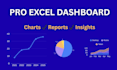 create a professional excel dashboard with charts and analysis
