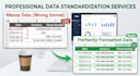 do professional data cleaning and deduplication in 24h