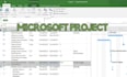 do anything in ms project professionally and efficiently