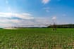 improve crop yield, save water with a smart irrigation guide