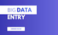 all big data entry projects