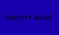 do a professional shopify store audit and conversion analysis