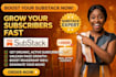 do organic substack newsletter promotion, substack page link to active audience