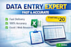 do  data entry, web research, copy paste, excel data entry