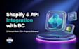integrate shopify third party apps and apis with business central
