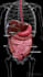 professional 3d medical animation 3d scientific visuals 3d  anatonmy animation