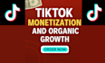 do complete tiktok monetization organically for creator rewards program