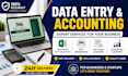 do professional data entry, excel, and bookkeeping in tally