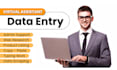 do big crm data entry, excel data entry fast and accurate