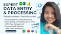 do data research and data entry for you