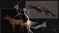 create illustrations, concept art and creature design