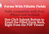 design a fillable PDF Form from a file, document, image or a website
