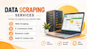 do professional data scraping and web data extraction