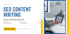 write SEO blog articles and website content for you