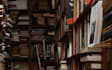 beta read your novel