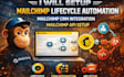 setup mailchimp lifecycle automation mailchimp API setup CRM integration