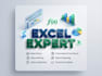 do professional data entry and excel invoice