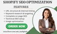setup shopify seo optimization plug in booster  tinymg  avada tapita
