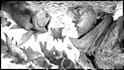draw special comic illustration or graphic novel