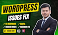 fix wordpress issues, bugs, 404 errors, responsive problems and update website