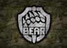 design professional bear logo