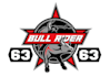 design a professinal bull rider logo