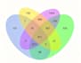 offer ngs data analysis and pipeline solutions