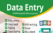 do fast data entry and typing work