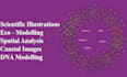 create high scientific illustrations for research papers and publications