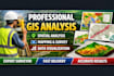 do professional gis analysis