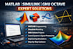 do your matlab tasks, simulink, gnu octave solution