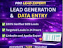 provide data entry and lead generation services