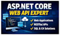 develop dotnet core web application web API and sql server backend system